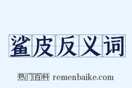 鲨皮反义词是什么意思的图片